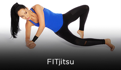 Fitjitsu Sidebar
